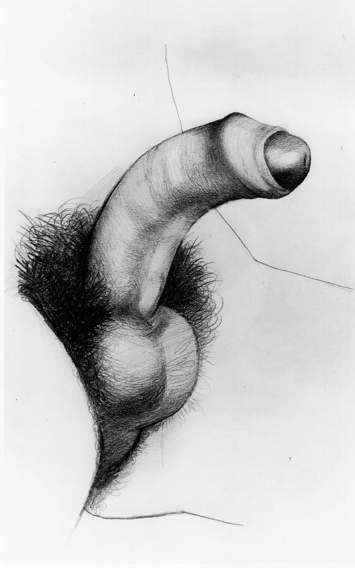 A Penis Drawing That Can Be Seen