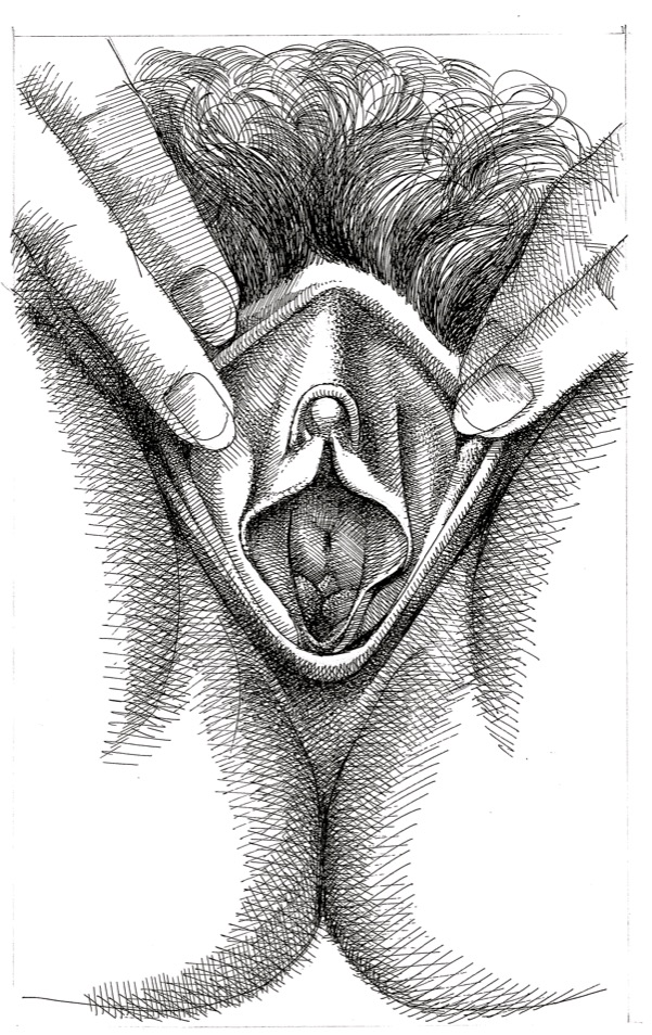 A Cloner Of Penises And Vulvas To Color 