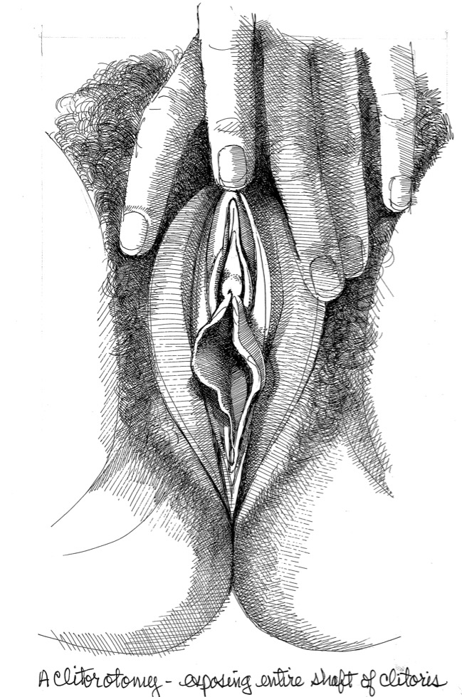 Diy draw a vagina workshops.