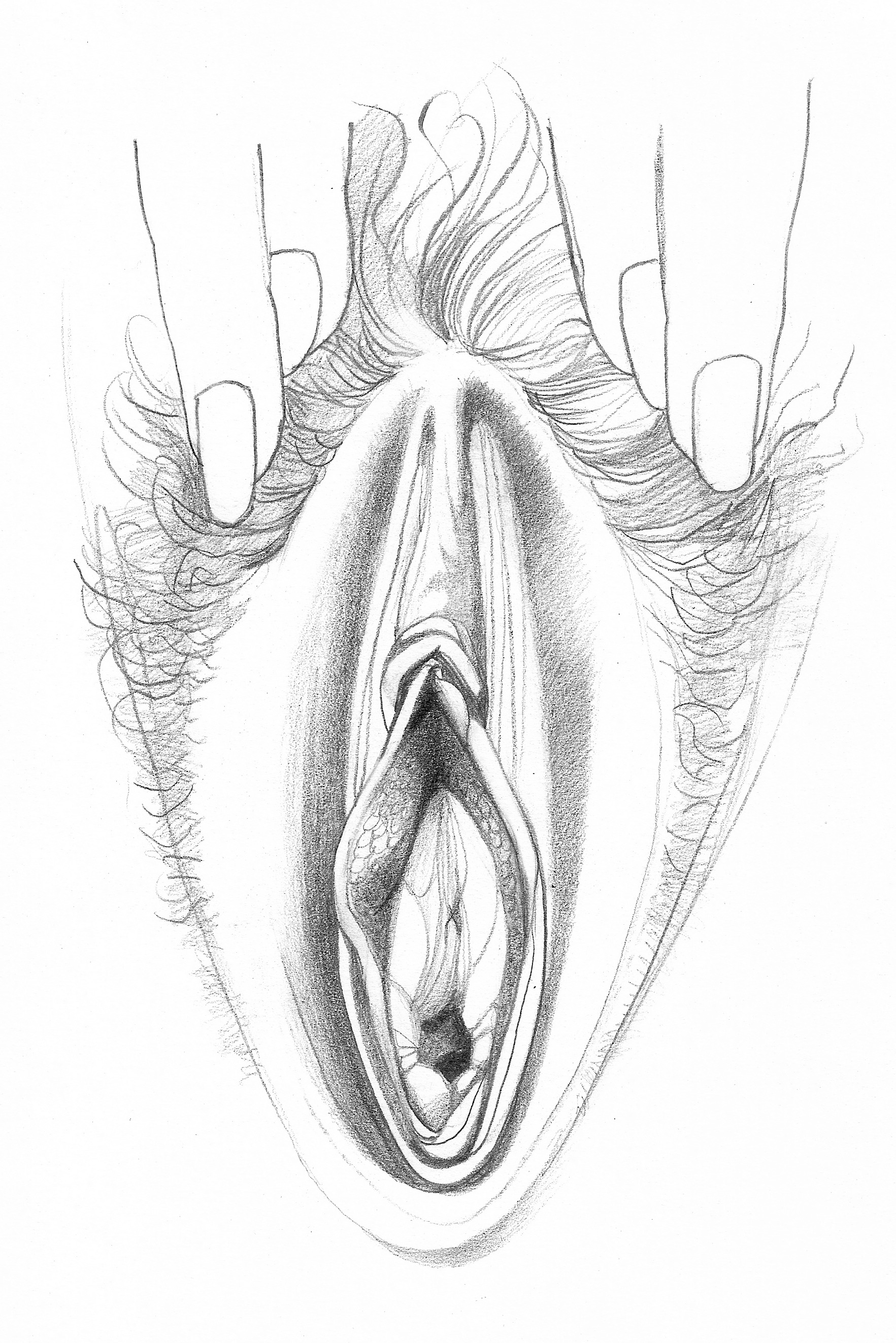 Draw a vagina.