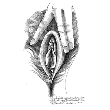 Vulva_14