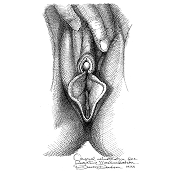 Vulva_15