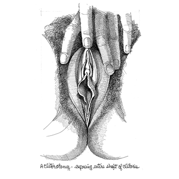 Vulva_8