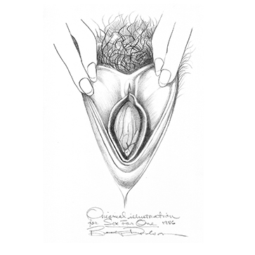 vulva_sketches-1f