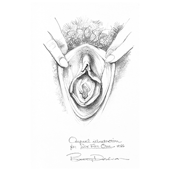 vulva_sketches-3f