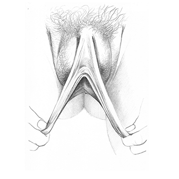 vulva_sketches-5f