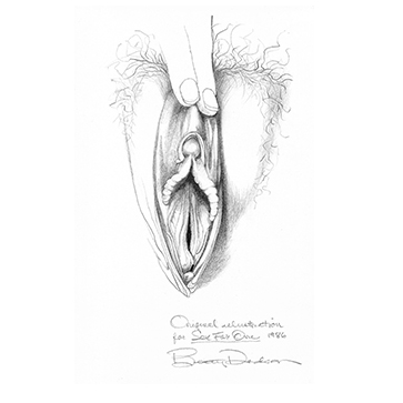 vulva_sketchesf