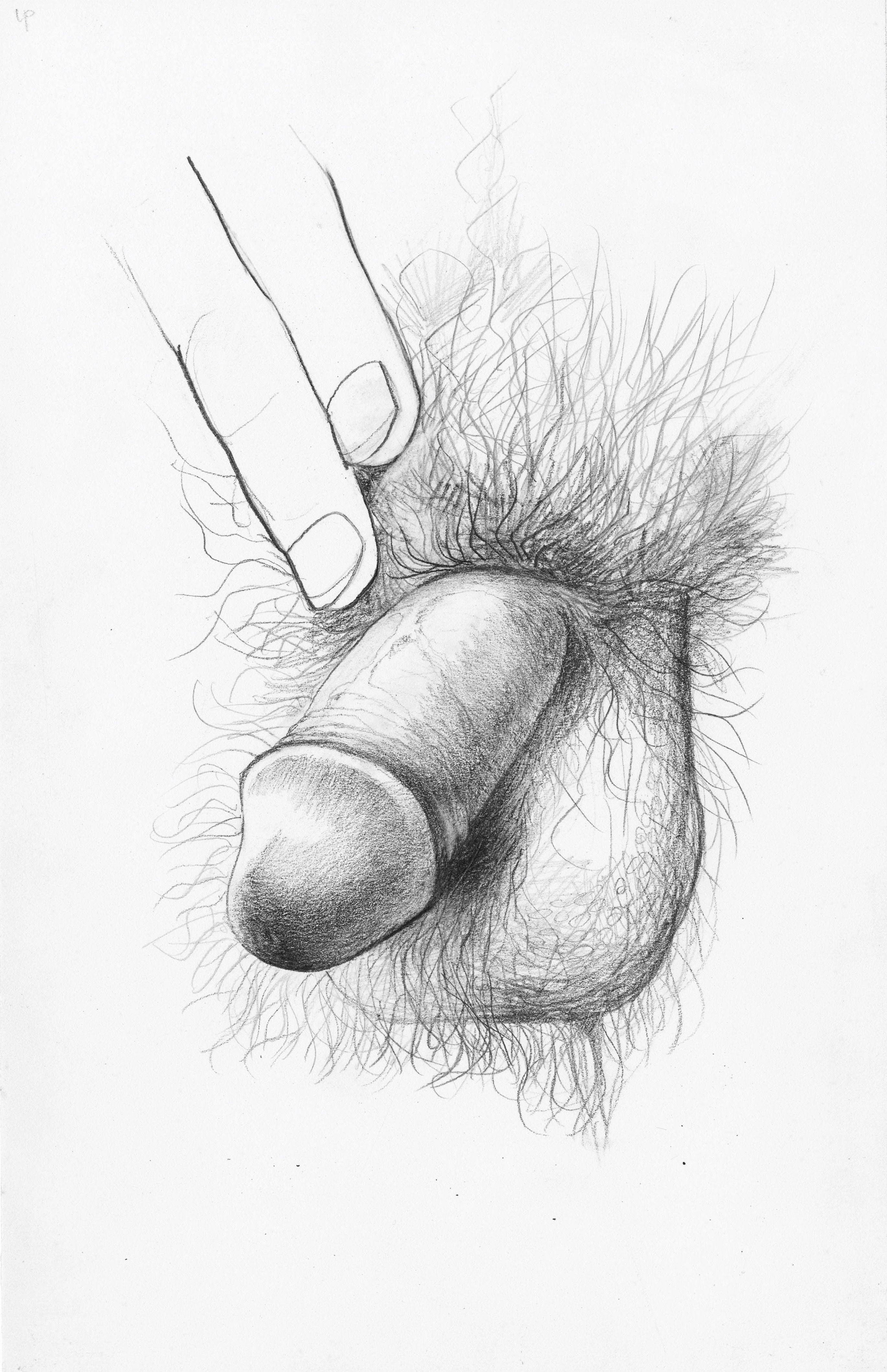 Drawing Penis Superbad.