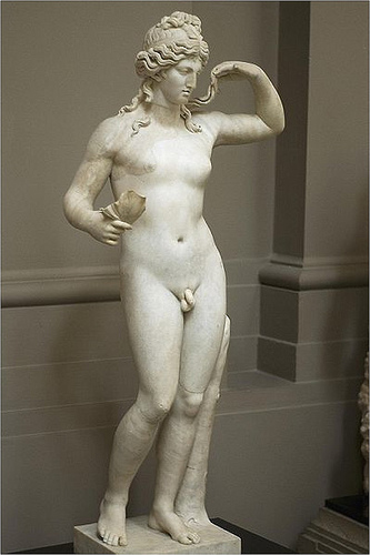 hermaphroditus