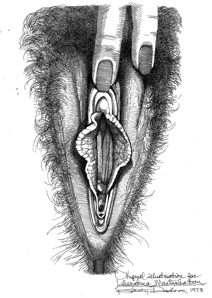 vulva