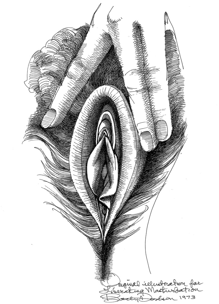 Pencil Drawings Of Vaginas