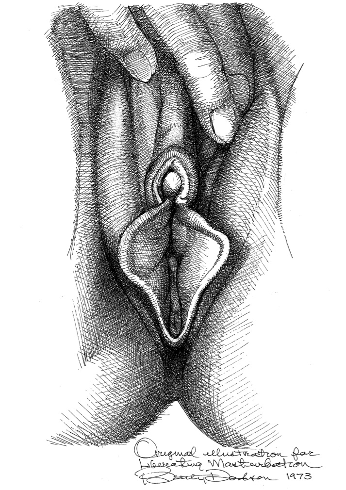 vulva