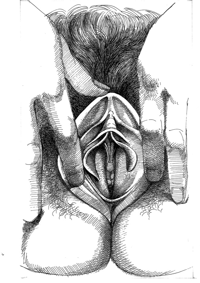 vulva