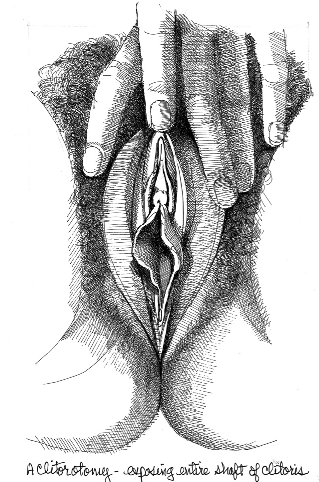 Pencil Drawings Of Vaginas