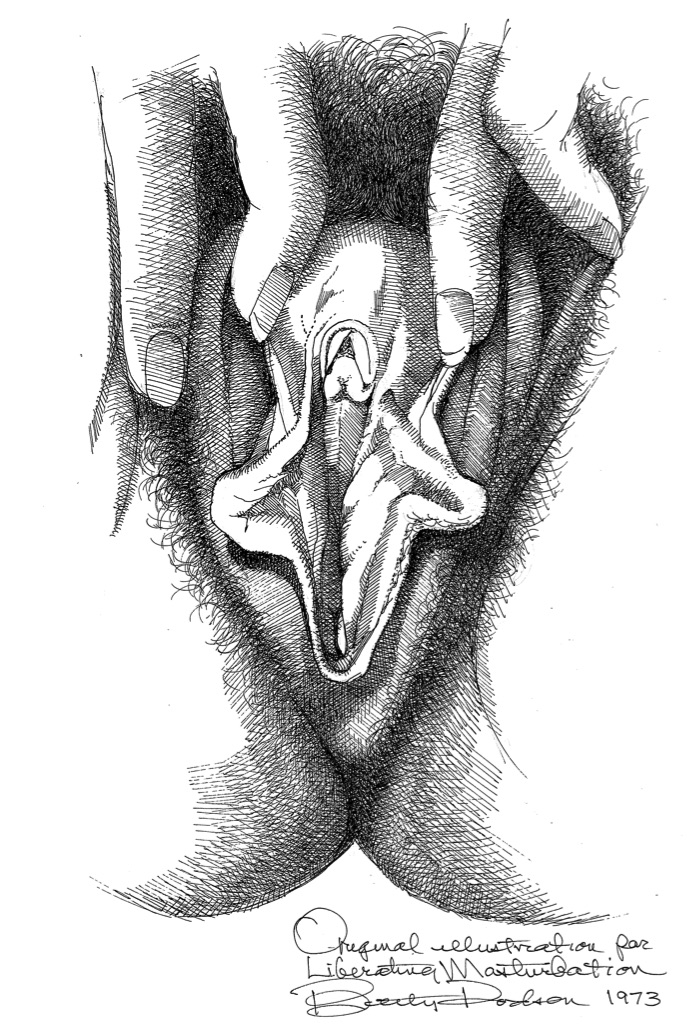 vulva