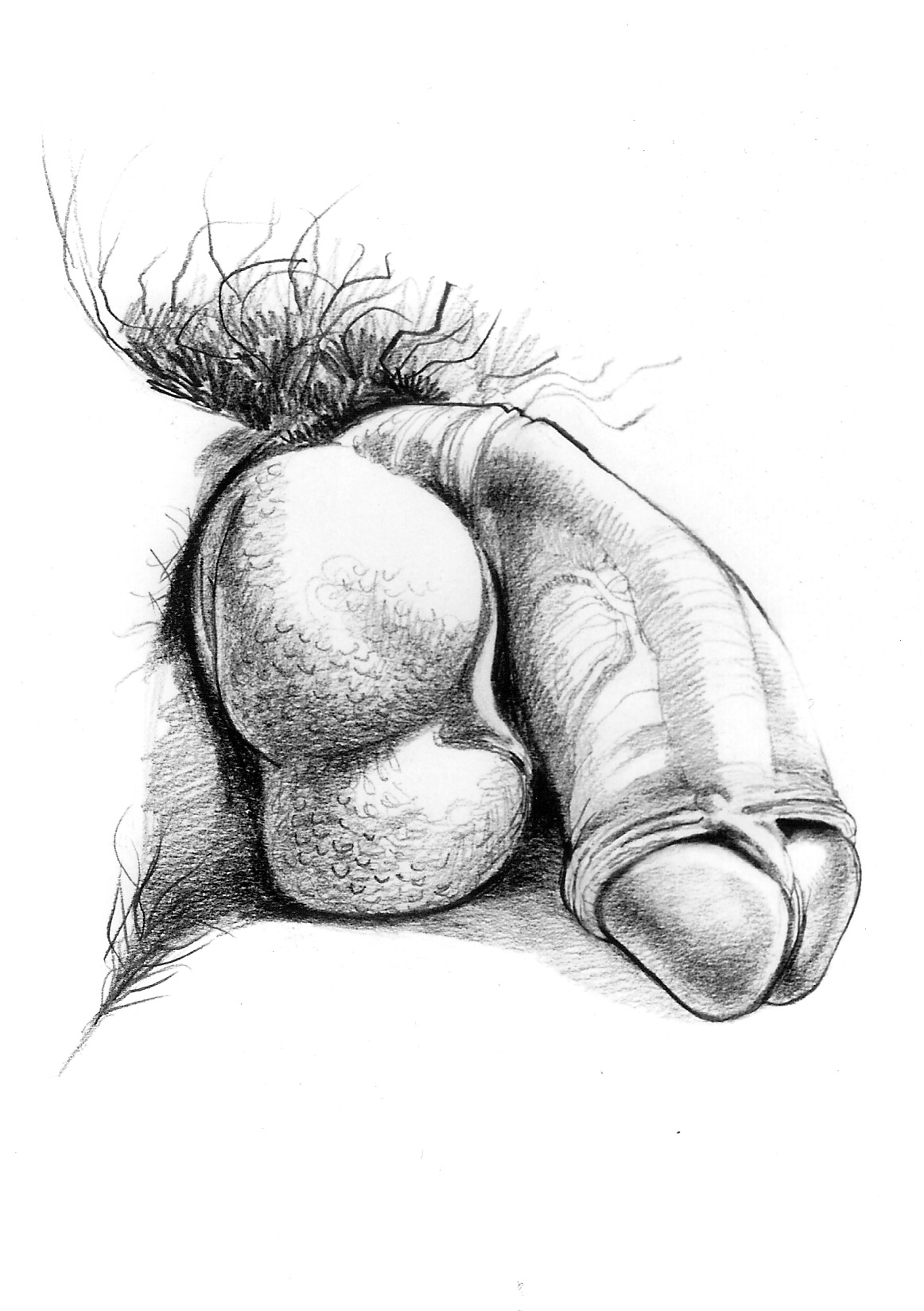 Betty sketched these penis drawings for her internationally best-selling bo...