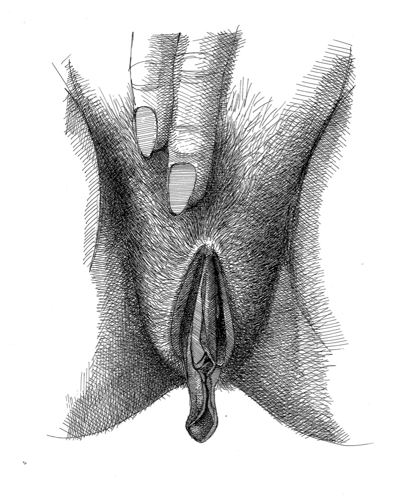 vulva