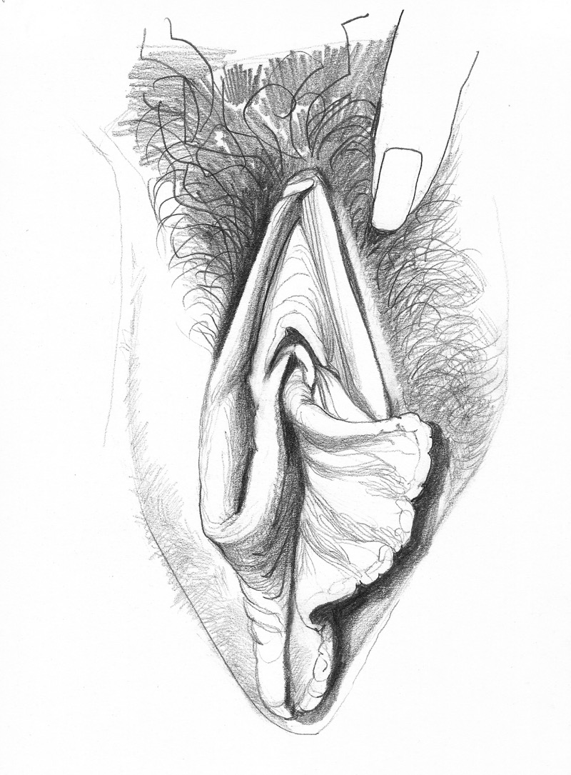 vulva