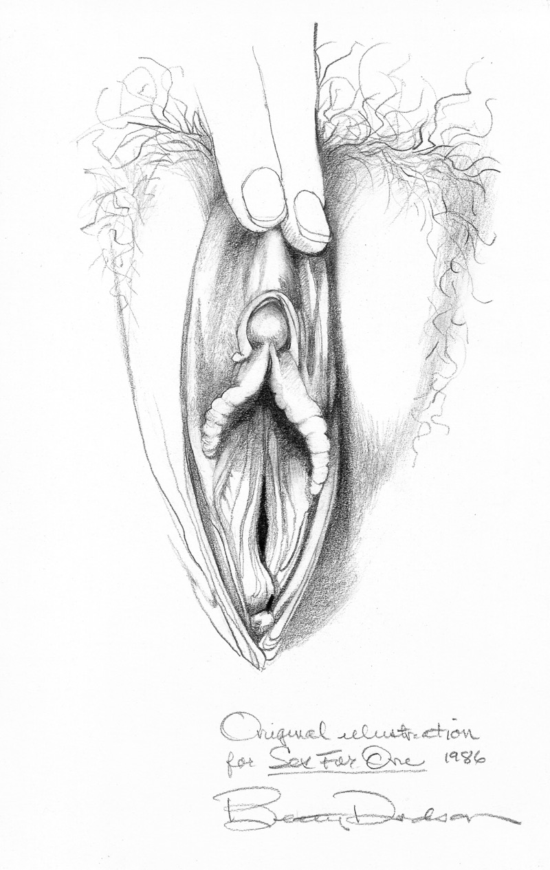 What does a penis look like when it is in the vagina