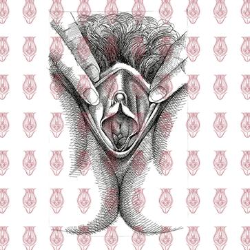 Vulva_1