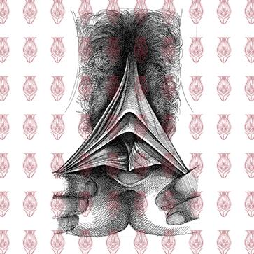 Vulva_11