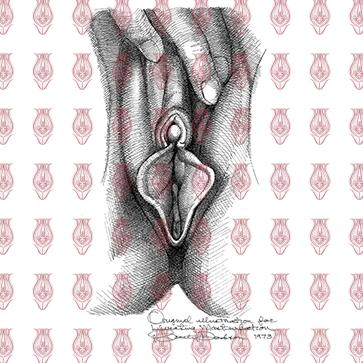 Vulva_15