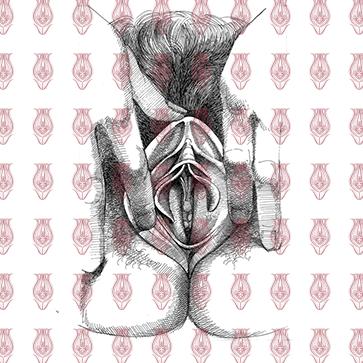 vulva_4