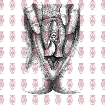 Vulva_6