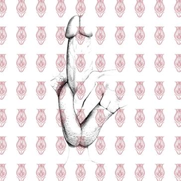 penis_7
