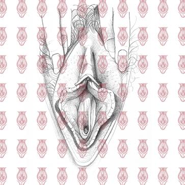 vulva_sketches-13f