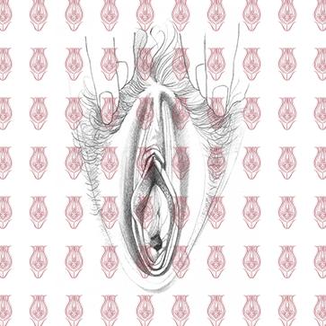 vulva_sketches-16f