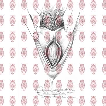 vulva_sketches-1f