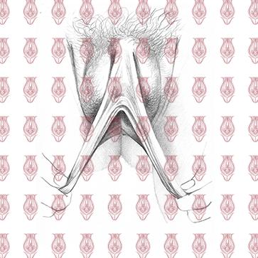 vulva_sketches-5f