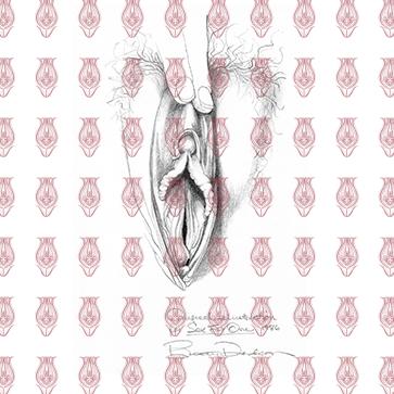 vulva_sketchesf